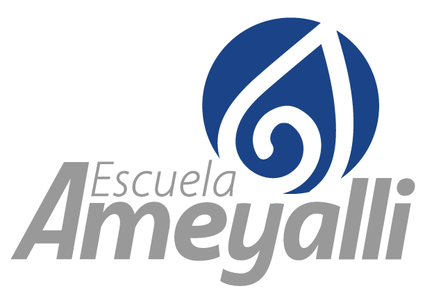 Ameyalli Hub logo
